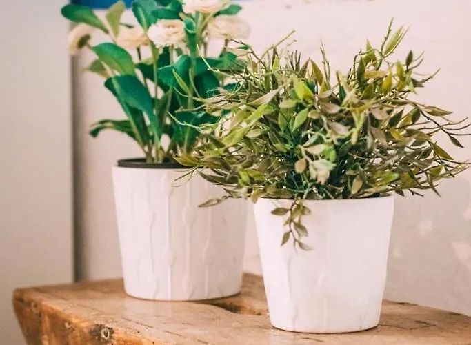 Ferienhaus Thalassa New House